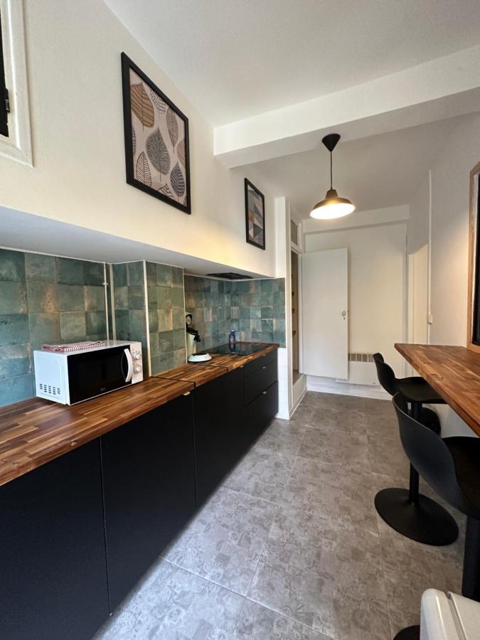 Appartement Minervoise - Gare Каркасон Екстериор снимка